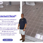Colorseal & Tilelok FL