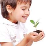 Little cute child holding green plant in hands