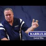 Meta Slider – YouTube – m91PG0AaVIc